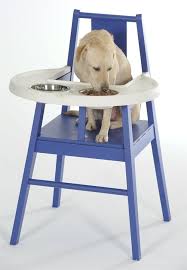 Photoblog Doggie High Chair Happy April Fool S Day Best Baby High Chair High Chair Ikea For Pets