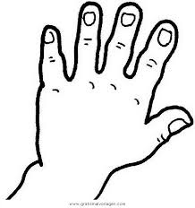Hand 6 Gratis Malvorlage In Diverse Malvorlagen Korper Ausmalen