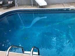 Welcome to the pool of thought. Hey Guys New Pool Owner And Need Some Thoughts Any Idea To The Cracks In The Concrete Under The Vinyl Liner Can This Be Fixed Pools
