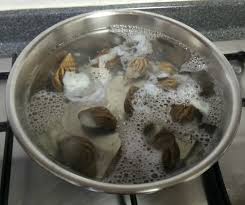 If you're wondering how to cook snails at home, then you'll enjoy this collection of videos explaining how to prepare, cook and present them in a number of dishes. Are Garden Snails In Singapore Edible Into The Ulu