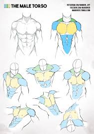 The most common male anatomy drawing material is paper. Simplified Anatomy 01 Male Torso By Mamoonart Deviantart Com On Deviantart Drawing Reference Poses Art Reference Poses Male Figure Drawing
