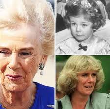 Controversy surrounding Camilla and the royal family