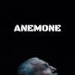Anenome (Film) — Leconfield Hall Petworth event image