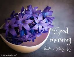 We did not find results for: Good Morning Images With Blue Flowers Hutomo