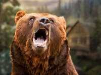 What is the correct translation of boy to spanish? How To Say Boy In Spanish What Is The Meaning Of Nino Ouino