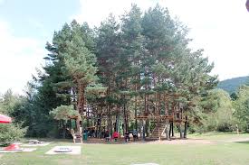 Complexul este inaugurat în data de 1 mai 2010. DÄm Start La DistracÅ£ie Ne Suim In Copaci Si Ne RelaxÄm La PiscinÄ Autoboca Blog