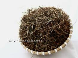 Image result for Pouzolzia guineensis