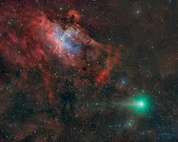 Image result for Astropanax