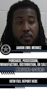 Arrest Reports 3/13/25