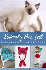 Accessory airplane animals applique aries bear bee bird booties bunny carrot cartoons cat chicken costume cow deer dog dolls elephant fox frog giraffe hippo leon lion mermaid mole monkey mouse owl penguin pig rabbit rattle sheep. 43 Free Crochet Cat Patterns Allfreecrochet Com