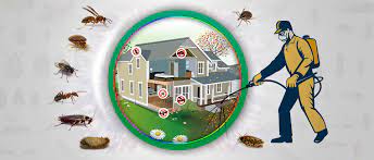 We provide professional pest control services in abu dhabi. Pest Control Abu Dhabi Best Cleaning Service Abu Dhabi