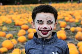 Leeds Pick Your Own: Amazing pictures from Kemps Farm in Horsforth where  70,000 pumpkins are ready for harvest