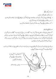 Best pregnancy care tips in hindi; Urdu Pregnant Manual