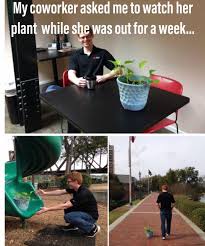 Succulentcity Com Community Of Succulent Cacti Plant Lovers Green Thumb Humor Gardening Humor Gardening Memes