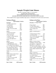 Weight Gain Diet Template Free Download