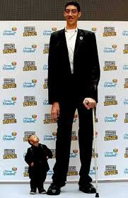 Smallest Tallest Men Tall Guys Human Oddities Tall People