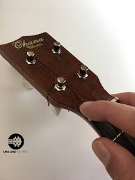 We did not find results for: How To String A Ukulele Uke Like The Pros Blog