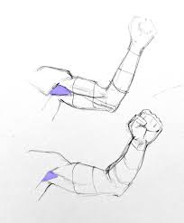 Learn the muscles of the arm with free quizzes, diagrams and worksheets. Learn To Draw Arms Once And For All Gvaat S Workshop