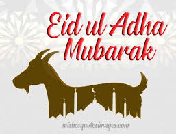 God bless you with prosperity and happiness; Eid Ul Adha Gif Animations With Wishes Greetings Messages