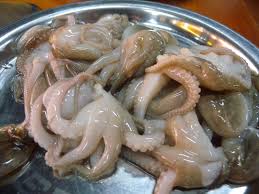 Only hanafi maddhab says octopus is haram because it's not a fish but the rest of the maddhabs (shafi'i, hanbali, maliki etc) give permission, since they. Is Octopus Halal In Islam Is Octopus Halal Hanafi