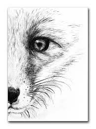 ansichtkaart vos dieren tekenen vossen tekening inspirerende kunst
