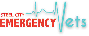 Check spelling or type a new query. Steel City Emergency Vets Emergency Vet Medicine Near You In Birmingham