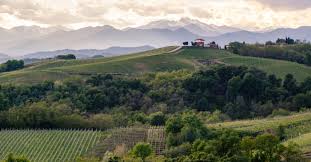Le novità nell'approccio e nelle procedure. Discovering Alto Piemonte