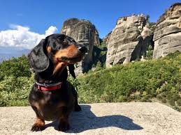 Grécko s domácim miláčikom: Tipy a pravidlá pre cestovanie so psom