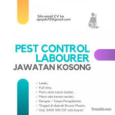 Kerja kosong polis bantuan senai airport via kerjajawatan.blogspot.com. Pest Control Labourer Brunei Muara Ad 93594 Photo 1 Bruneida Com