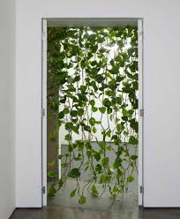 Pin By Emmy Greatwood On Homey Home Home Plants Garden Hanging Plants