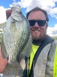 Virginia Crappie