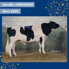 Cumpara acum ferme de vaci germania la 1.600,00 €. Abs Romania Posts Facebook