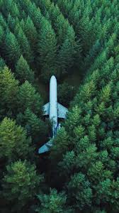 Forests and woodland are a unique and aesthetic subject for any landscape photographer. Airplane Wallpaper 4k Green Trees Aerial View Forest Photography 2981