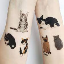 It's all for fashion and art. Cat Temporary Tattoos Kitty Illustrated Body Art Realistic Etsy