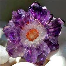 One Of The Most Beautiful Crystal Formations I Ve Ever Seen Crystal Flower Universe Crystal Formations Crystals Rocks And Crystals