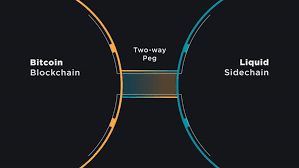 If your bitcoins do end up lost or stolen then there's almost certainly nothing that can be done to get them back. How Does Liquid Bitcoin L Btc Work Blockstream Help Center