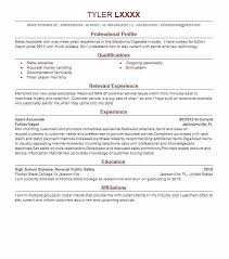 Successful Resume Format Examples - Dogging #e8c6d4e90ab2