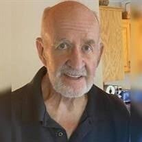 Dr. Neil Barry Hensrud Obituary (2025)