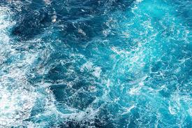 Image result for sea