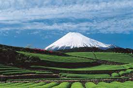Shizuoka Prefecture A Gourmet Paradise Presided Over By Mt Fuji Shun Gate
