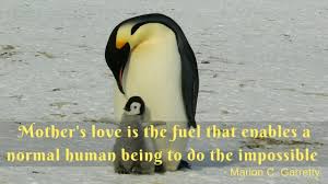 We did not find results for: Thoughtful Quotes For Mother S Day Famous Mothers Day Qutoes