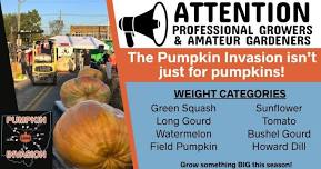 Pumpkin Invasion