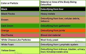 Foot Detox Color Chart Www Tanyerhide Com Traci Davis