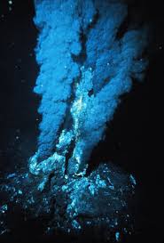 The amount of arctic sea ice in summer has shrunk 15 to 20%. Hydrothermal Vents Definition Ecosystem Study Com