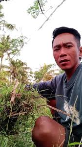 hp mu opo iyo 🤭🤭🤭