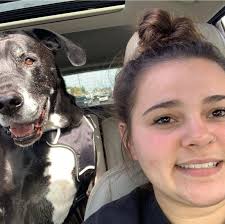 What is the estimate for stump grinding 2 stumps and dropping one tree in  Omaha?