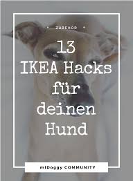 Pin Auf Hunde
