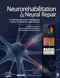 Improved Gait Symmetry in Hemiparetic Stroke Patients Induced During Body  Weight-Supported Treadmill Stepping