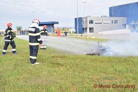 Personalul casnic si de serviciu executa diferite sarcini in gospodarii private. Familie Nu Poti Mecanism Cor Birou Tehnic Justan Net