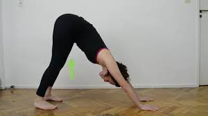 On an inhale, arch your back to come into cow pose. 4 Ways To Do The Cat Pose In Yoga Wikihow